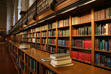 The science behind club culture The science behind club culture