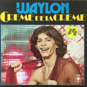 Waylon record cover
